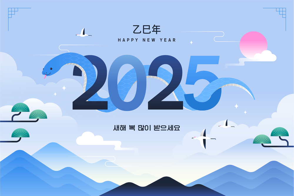 2025년 을사년 (乙巳年) 새해가 밝았습니다.